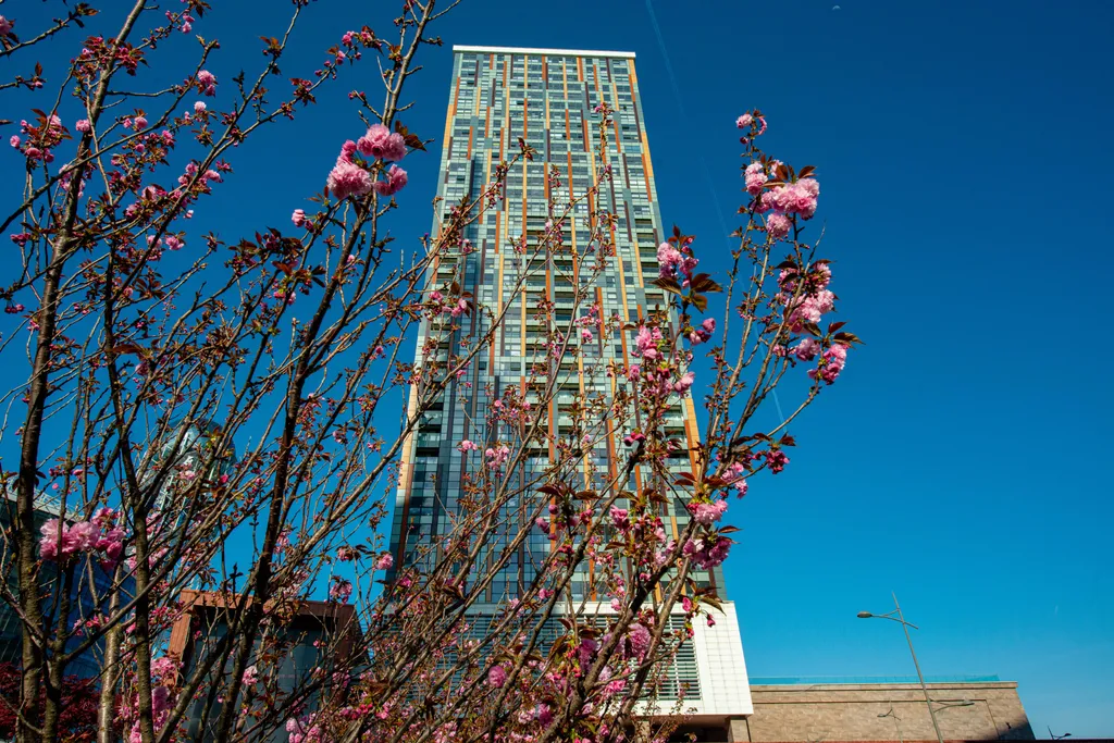 Прибрежный Оазис с видом на море в престижной Порта Батуми