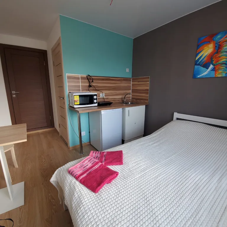 Апартаменты "Как дома"Студия 8  отчетные документы бесплатно.