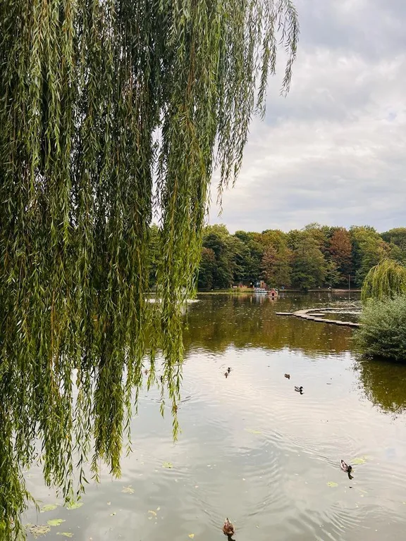 Уютная квартира рядом с морем