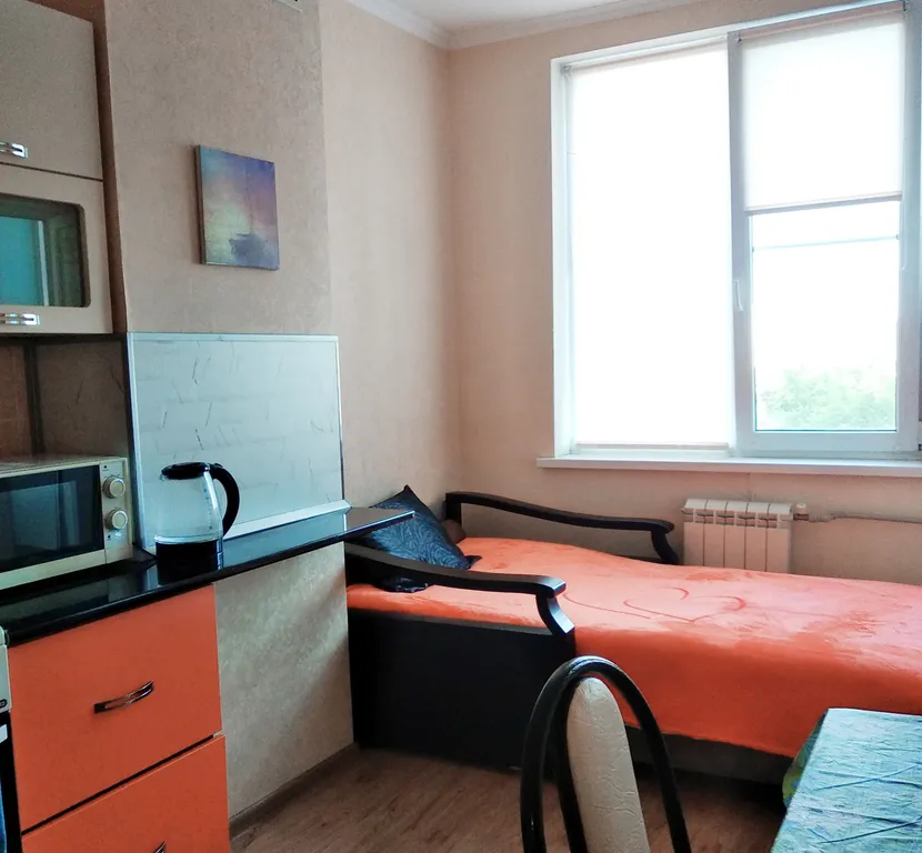 Просторная квартира у филармонии