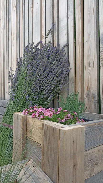 Эко-бунгало Розмарин с видом на горы и море