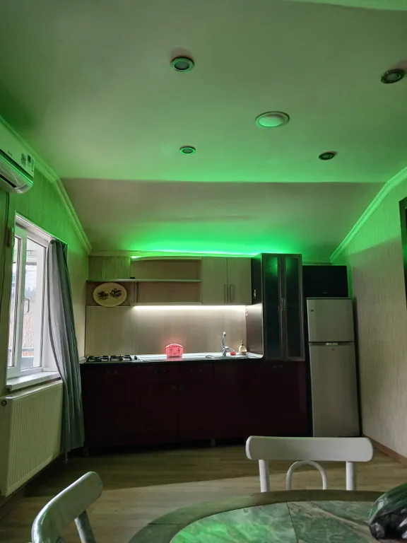 Трёхкомнатная квартира с терассой