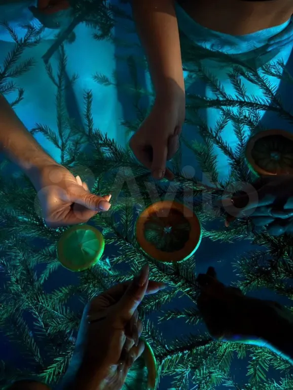 Коттедж Коттедж с баней и чаном — Мещерино