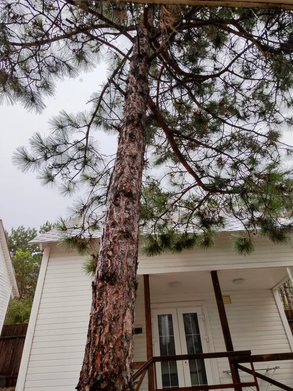 Дом с мансардой