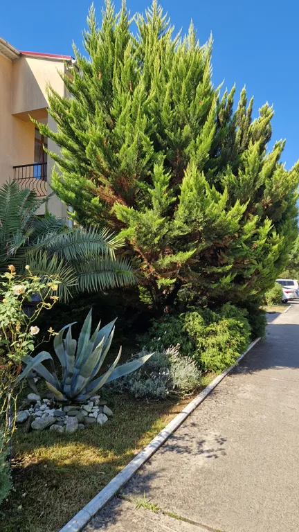 Танхаус в Орхидее парке