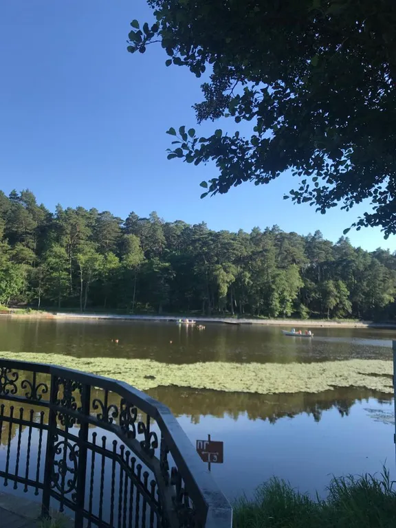 Квартира Квартира на берегу Балтийского моря — Светлогорск