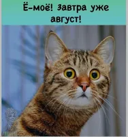 Зумрут Омаргаджиева
