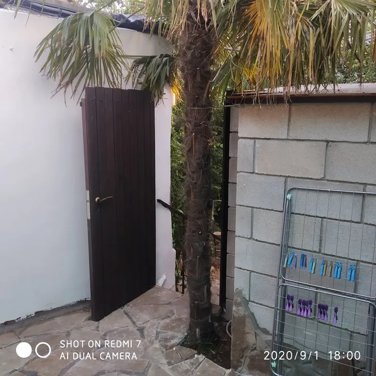 Пальмовый дворик