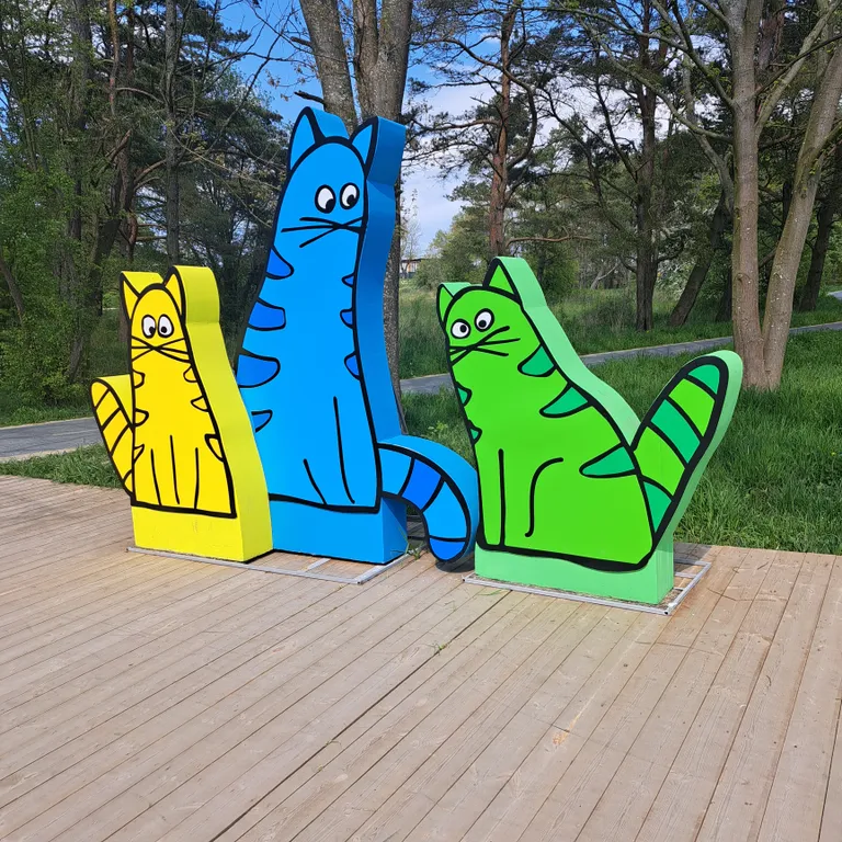 Квартира недалеко от красивого пляжа на Балтийском море