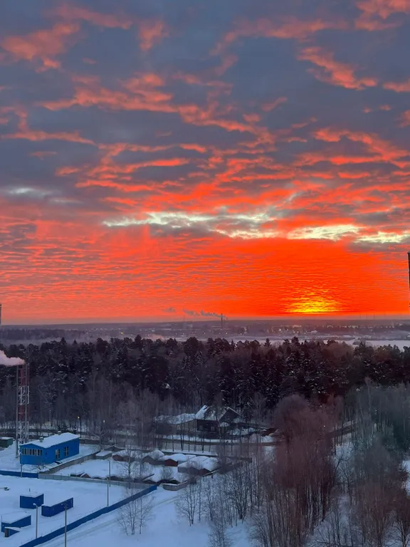 Уютная трёхкомнатная квартира в экологически чистом районе Подмосковья