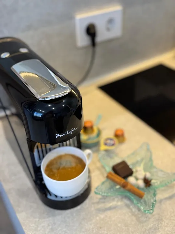 Квартира Квартира Большая студия Море внутри — Светлогорск