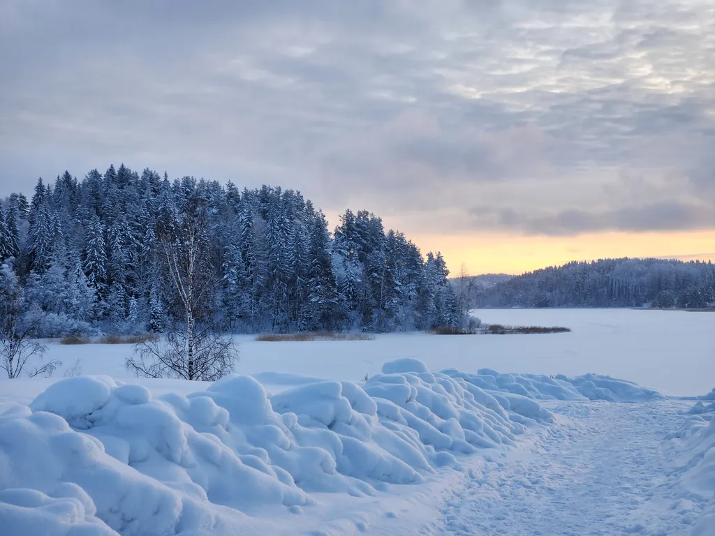 Алая дача с баней
