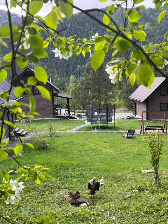 Гостевой дом Villar семейный коттедж