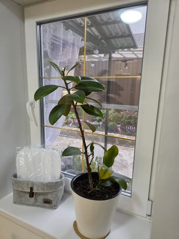 Уютный домик в тихом районе города