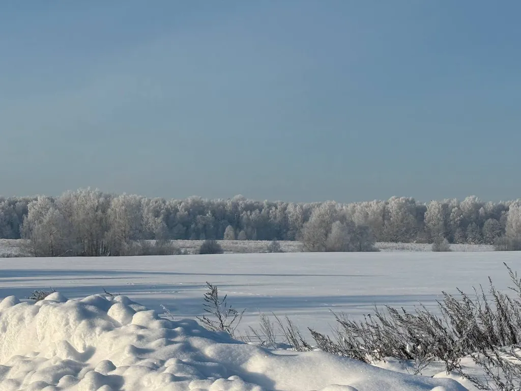 Выход из суеты - не дача Бобёр и Соловьи