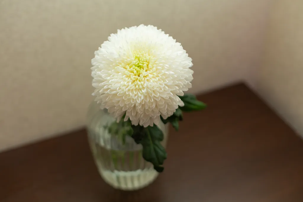 Горячий шоколад — сладкая жизнь