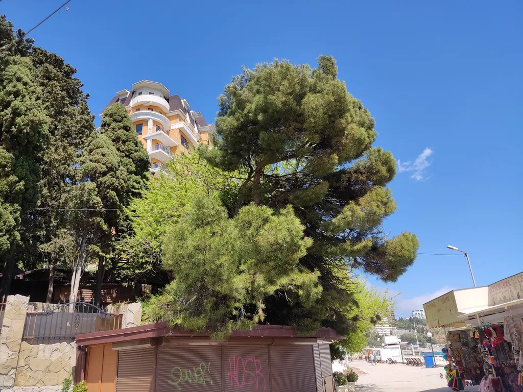 Апартамент с видом на море