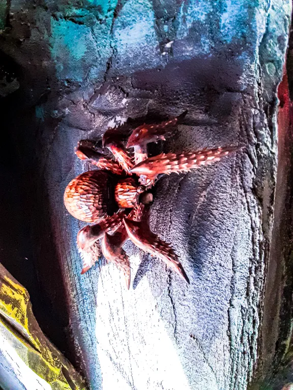 Пещера Гингемы