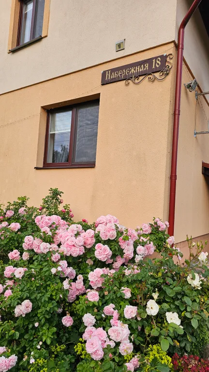 Агроусадьба Лесная Паулинка