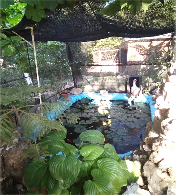 Квартира Квартира Отдельный этаж в доме у моря — Севастополь