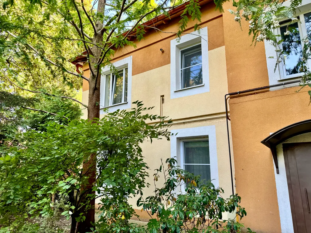 Мяу-квартира на Курортном проспекте