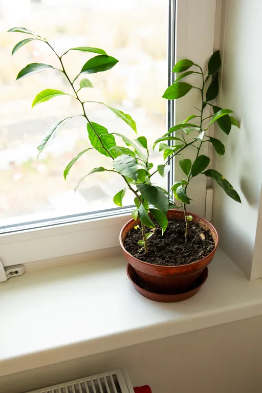 Видовая квартира большой площади в новом доме, рядом с центром