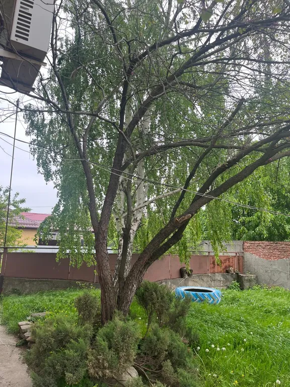 Дом в центре города