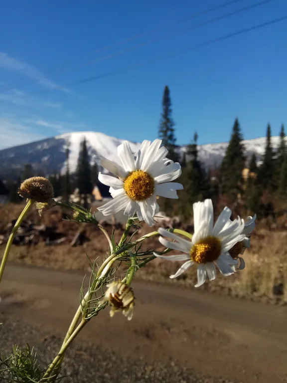 Уютный дом Бавария