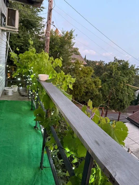 Gold Vino 2х местный номер