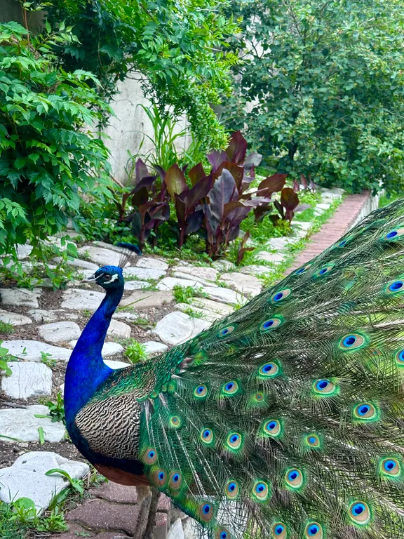 Дом у озера