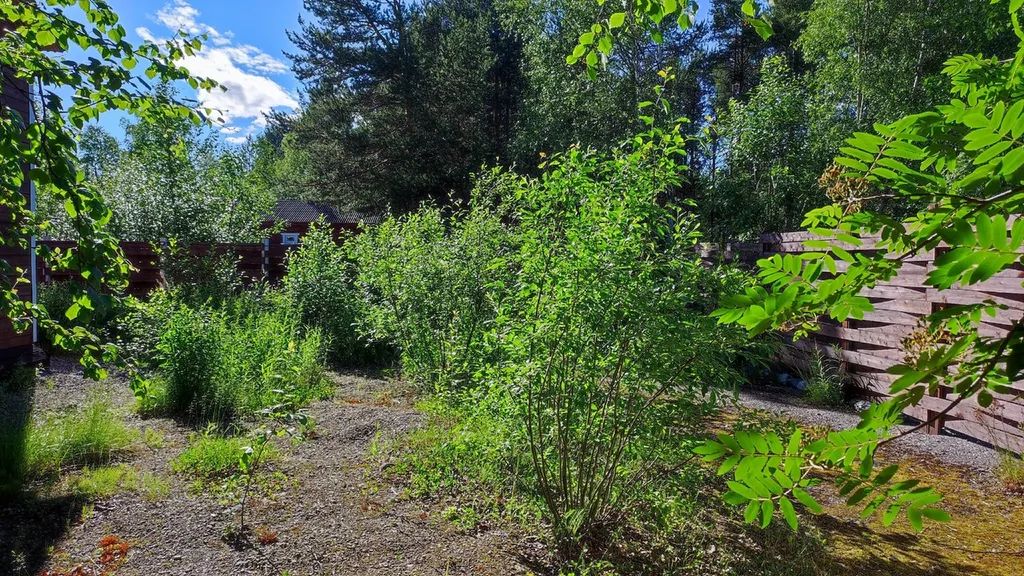 Большой дом с сауной