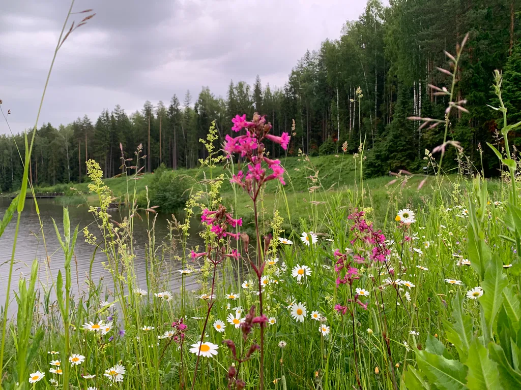 Семейный таунхаус