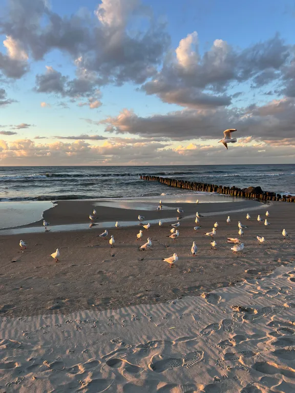 Уютная квартира с террасой у Западного пляжа