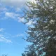 Марита
