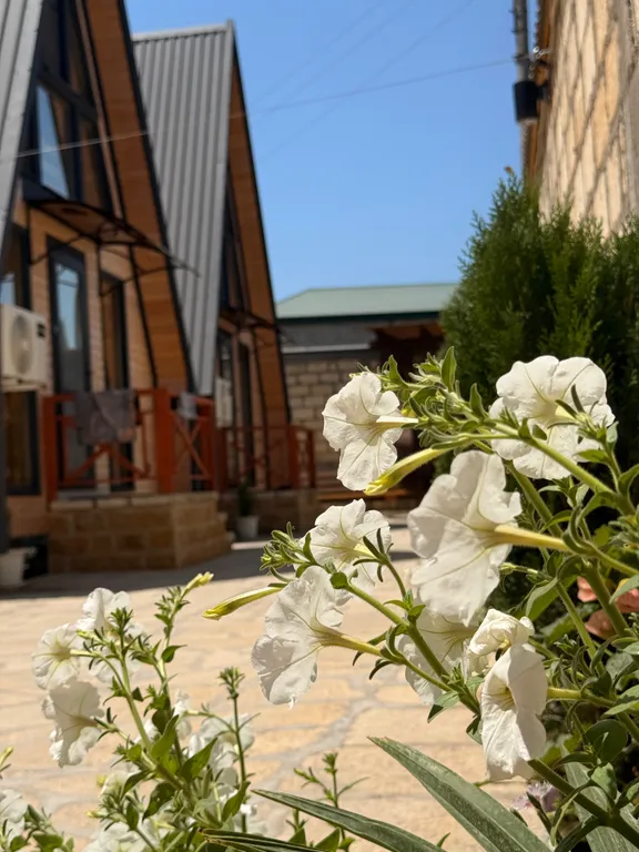 Уютное Бунгало у моря