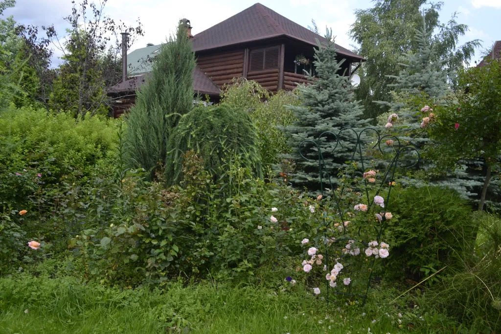 Дом с баней