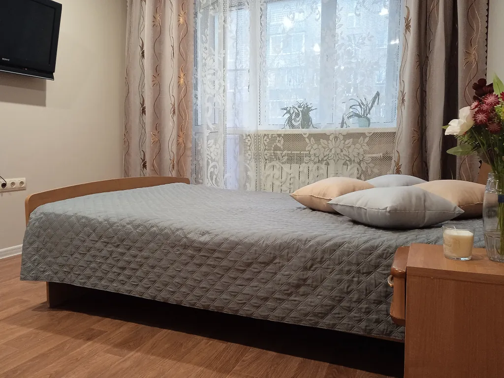 Уютная квартира на Московском