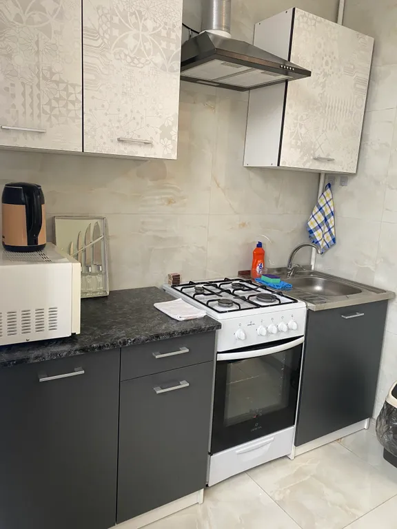 Большая квартира в центре, после ремонта