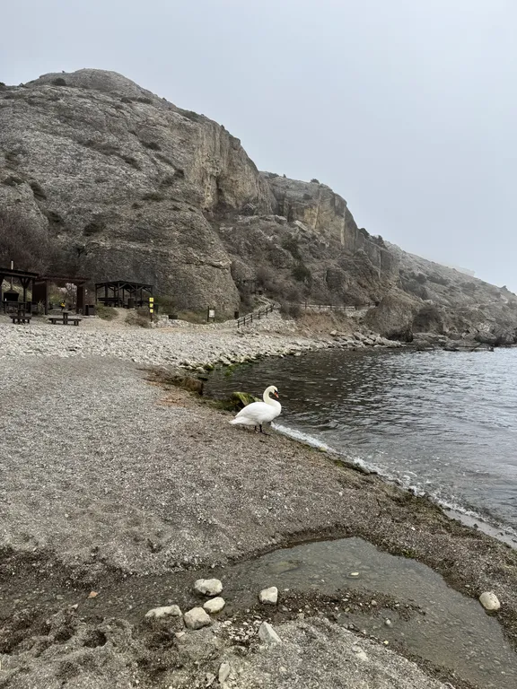 Двухкомнатные Апартаменты с видом на море и горы