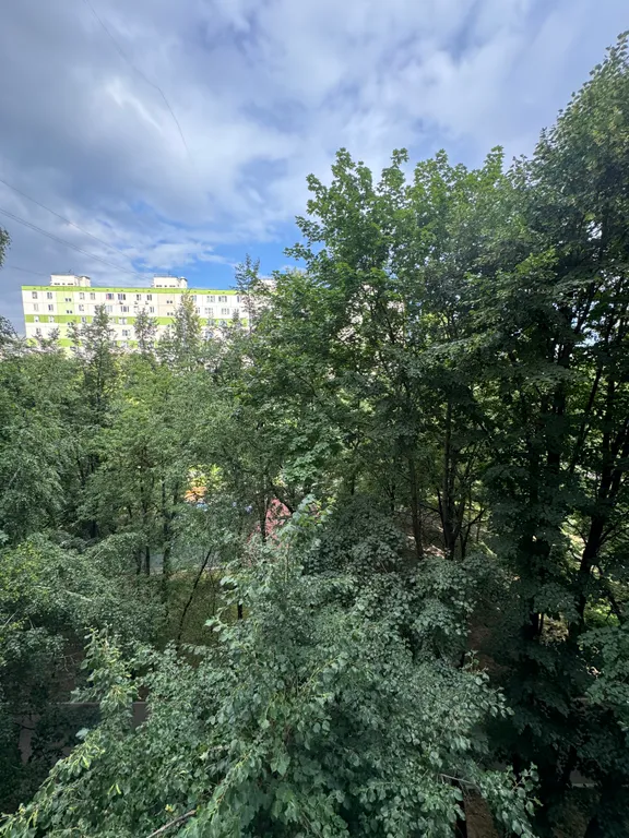 Квартира Большая квартира в эко районе — Москва