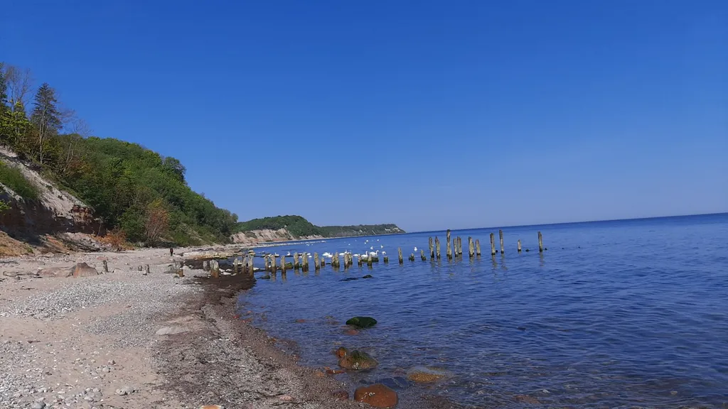 Апартаменты на красивом побережье Балтийского моря