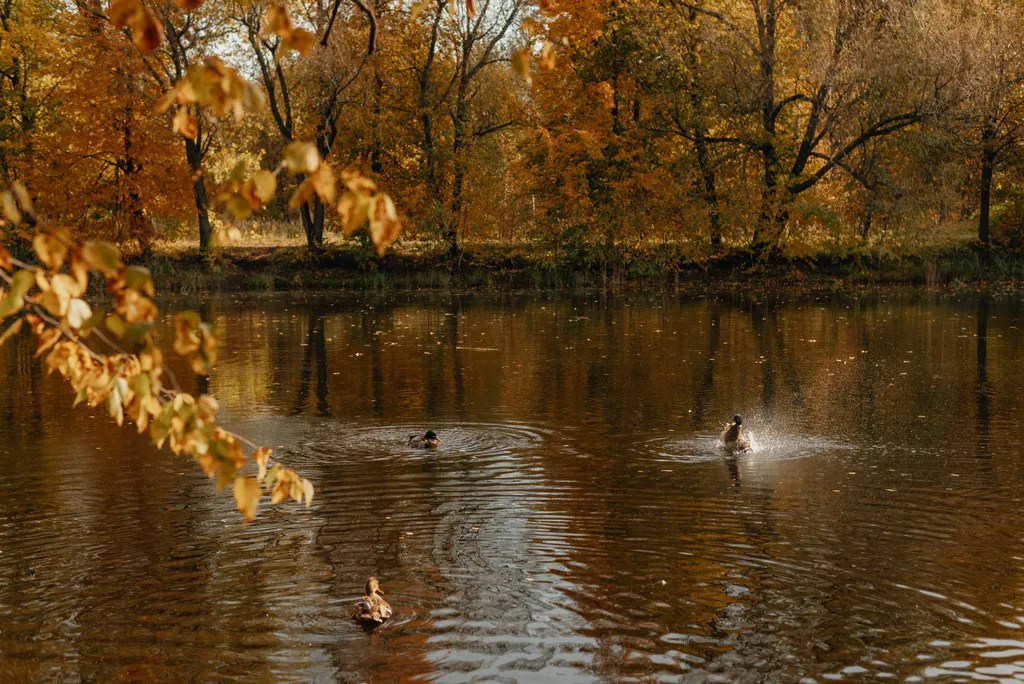 Атмосферная двухуровневая квартира с видом на Петропавловский парк