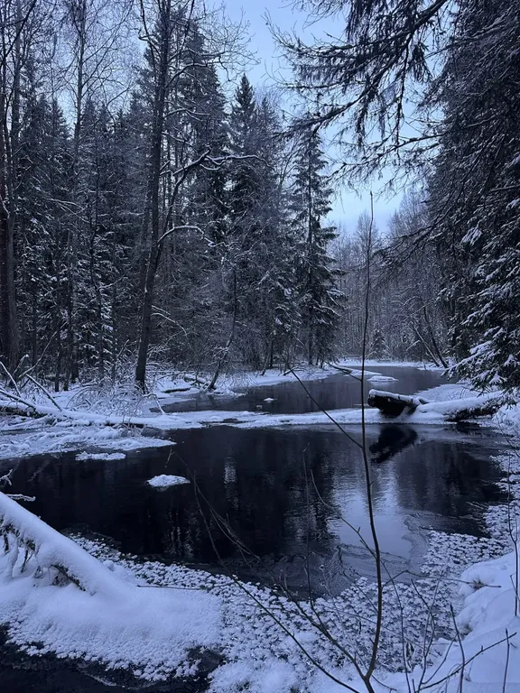 Уютный домик на берегу речки