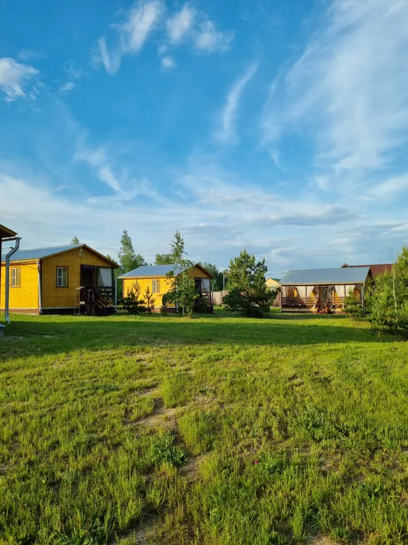 Дом с видом на лес дача лесника