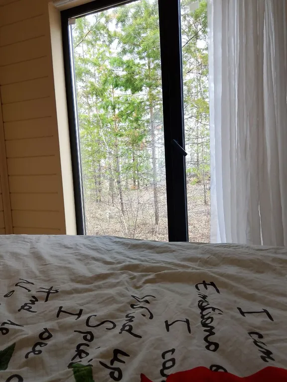 Дом в лесу на берегу озера Увильды