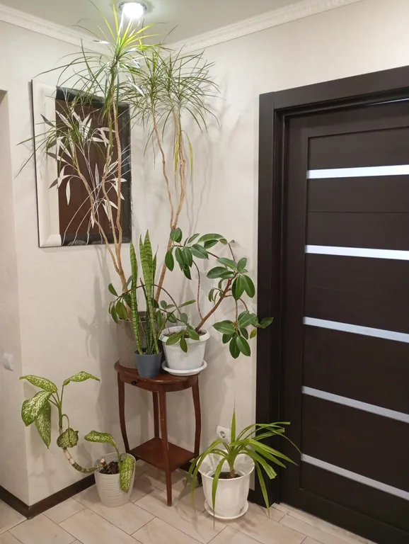 Уютная квартира в спальном районе города