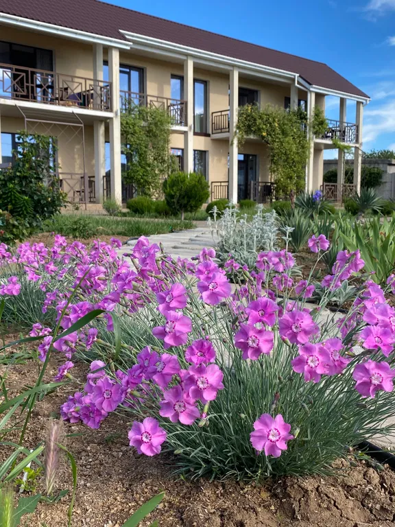 Квартира Квартира Стандартный трехместный номер — Витино