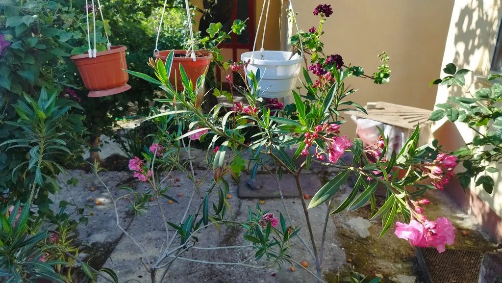 Уютный домик в частном секторе