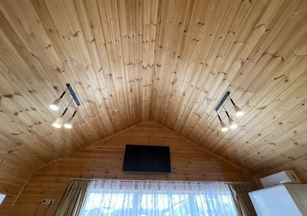 Уютный дом у леса и озера