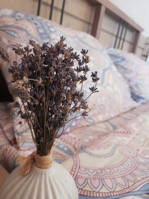 Уютный домик с сауной и банным чаном